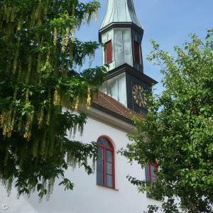 Fensterrenovierung in Kemmoden